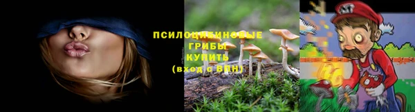 стаф Алексеевка