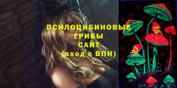 ГАЛЛЮЦИНОГЕННЫЕ ГРИБЫ Алзамай