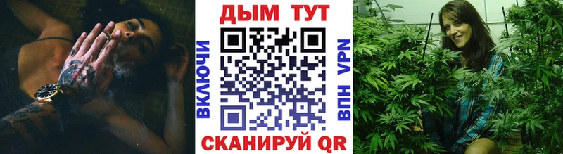 наркотики  Бологое  Шишки марихуана SATIVA & INDICA 